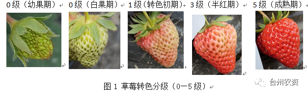 臺州農(nóng)資 臺州農(nóng)資